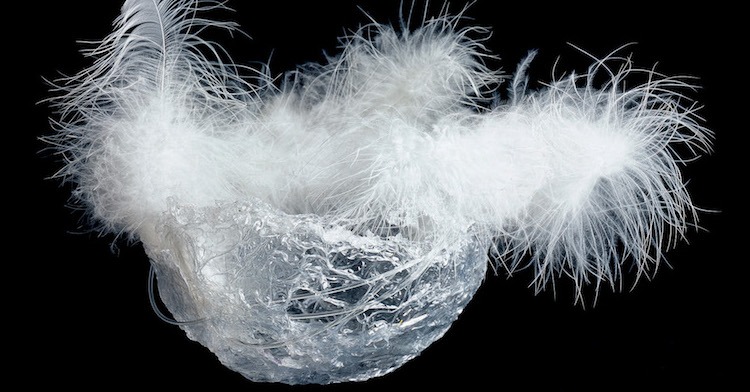 Kim Thittichai Featured Image|Kim Thittichai (on left)|Kim Thittichai